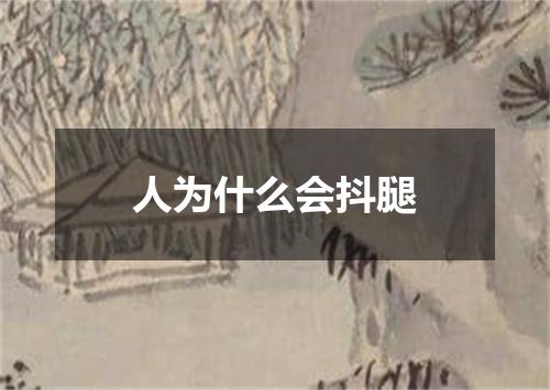 人为什么会抖腿