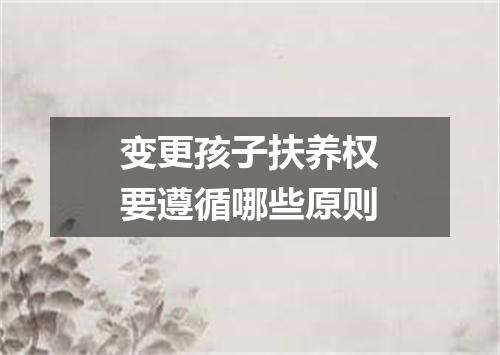 变更孩子扶养权要遵循哪些原则