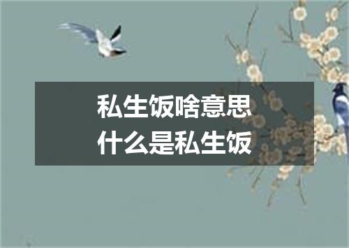 私生饭啥意思什么是私生饭