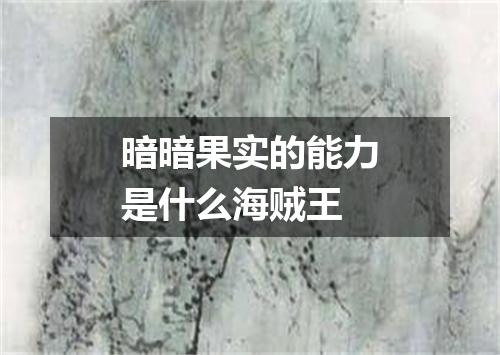 暗暗果实的能力是什么海贼王