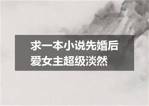 求一本小说先婚后爱女主超级淡然