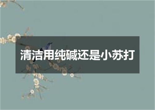 清洁用纯碱还是小苏打