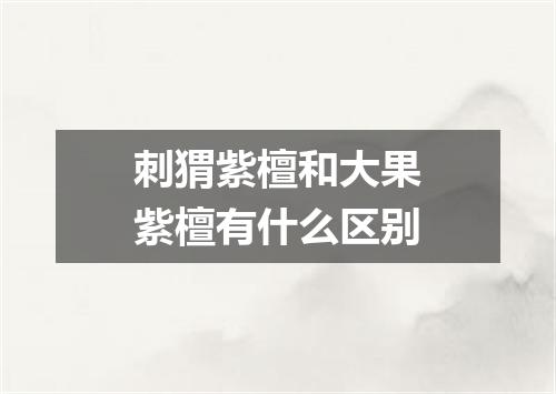 刺猬紫檀和大果紫檀有什么区别