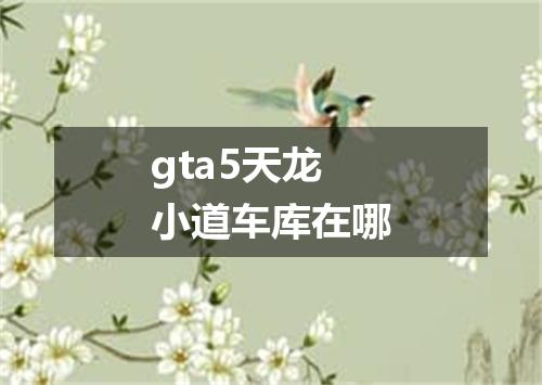 gta5天龙小道车库在哪