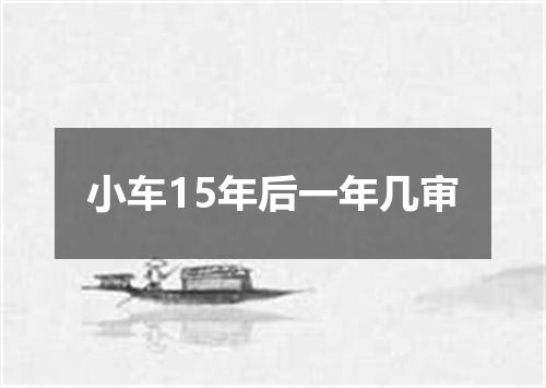 小车15年后一年几审