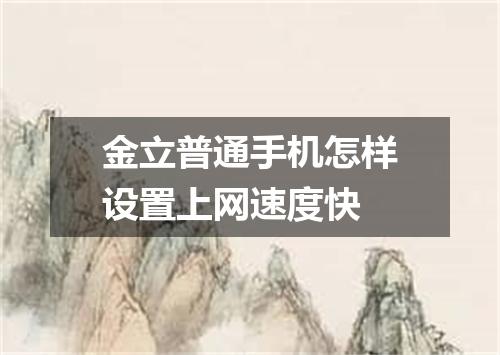金立普通手机怎样设置上网速度快
