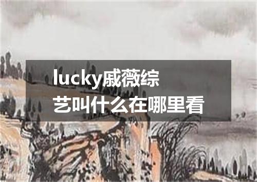 lucky戚薇综艺叫什么在哪里看