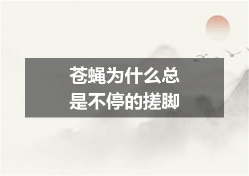 苍蝇为什么总是不停的搓脚