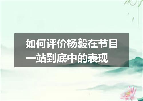 如何评价杨毅在节目一站到底中的表现