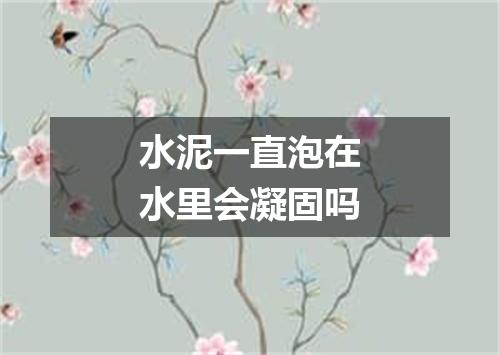 水泥一直泡在水里会凝固吗
