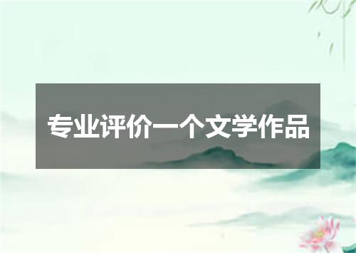 专业评价一个文学作品