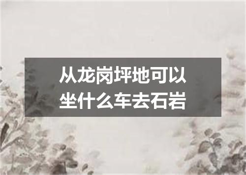 从龙岗坪地可以坐什么车去石岩