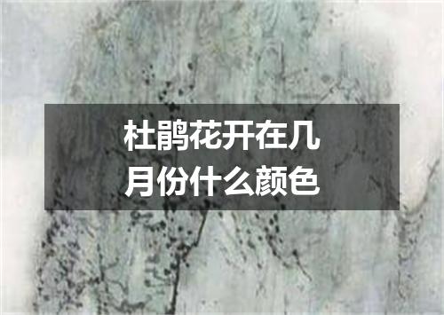 杜鹃花开在几月份什么颜色