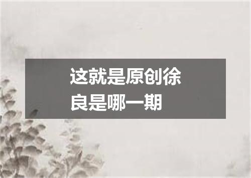 这就是原创徐良是哪一期