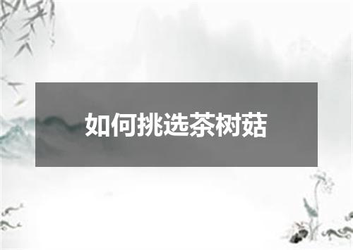 如何挑选茶树菇