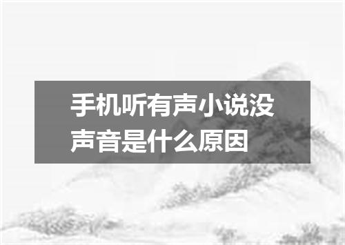 手机听有声小说没声音是什么原因