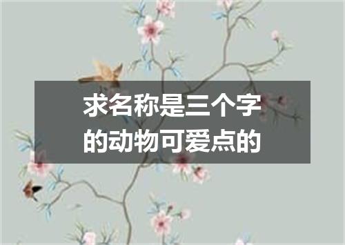 求名称是三个字的动物可爱点的