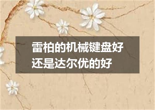 雷柏的机械键盘好还是达尔优的好