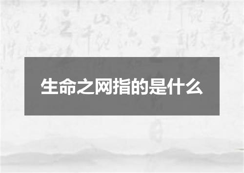 生命之网指的是什么