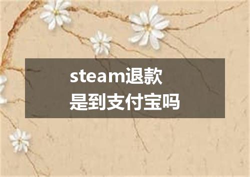 steam退款是到支付宝吗