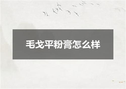 毛戈平粉膏怎么样