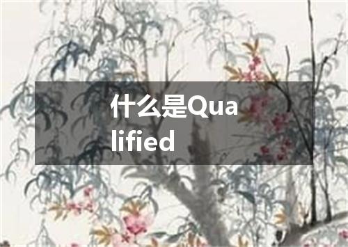 什么是Qualified