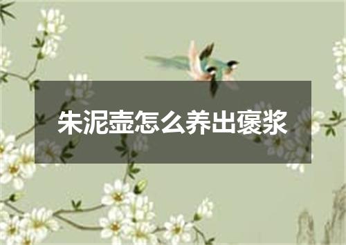 朱泥壶怎么养出褒浆