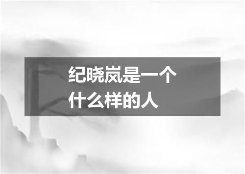 纪晓岚是一个什么样的人