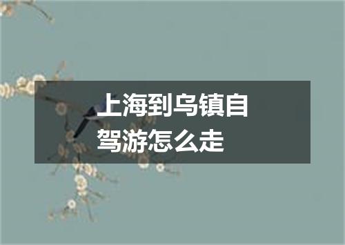 上海到乌镇自驾游怎么走