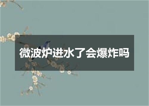 微波炉进水了会爆炸吗
