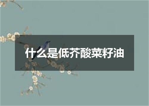 什么是低芥酸菜籽油