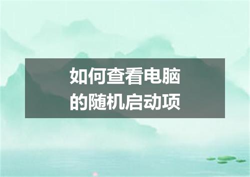 如何查看电脑的随机启动项