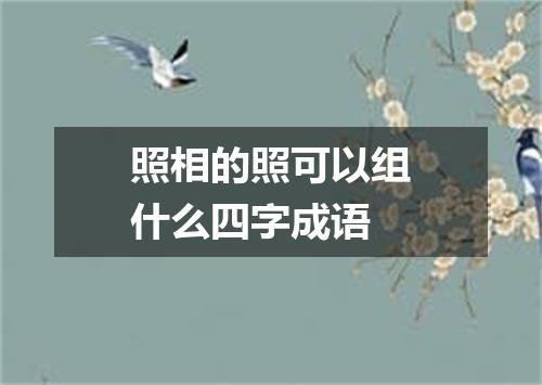 照相的照可以组什么四字成语