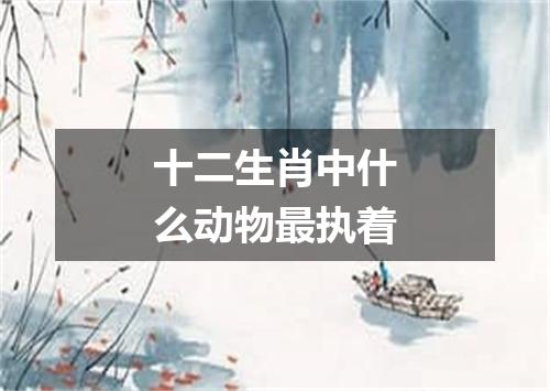 十二生肖中什么动物最执着