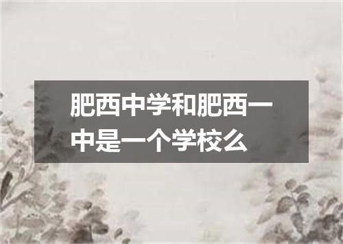 肥西中学和肥西一中是一个学校么