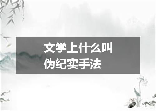 文学上什么叫伪纪实手法