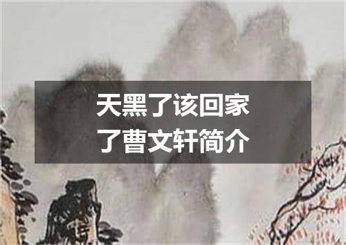 天黑了该回家了曹文轩简介