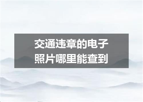 交通违章的电子照片哪里能查到