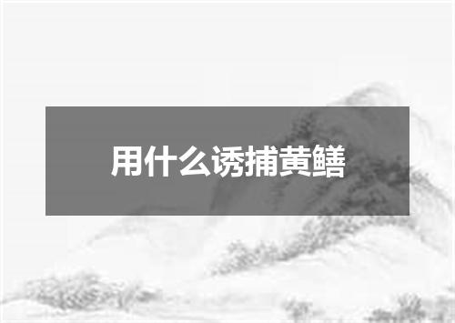 用什么诱捕黄鳝