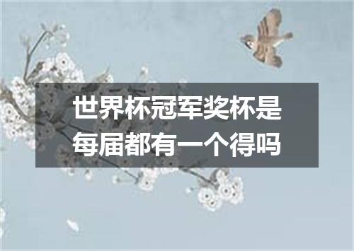 世界杯冠军奖杯是每届都有一个得吗