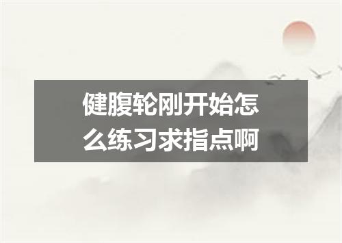 健腹轮刚开始怎么练习求指点啊