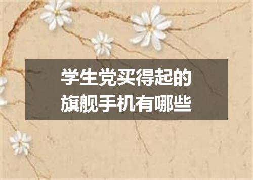 学生党买得起的旗舰手机有哪些