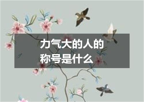 力气大的人的称号是什么