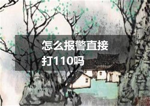怎么报警直接打110吗