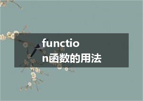 function函数的用法