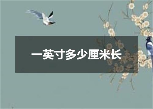 一英寸多少厘米长