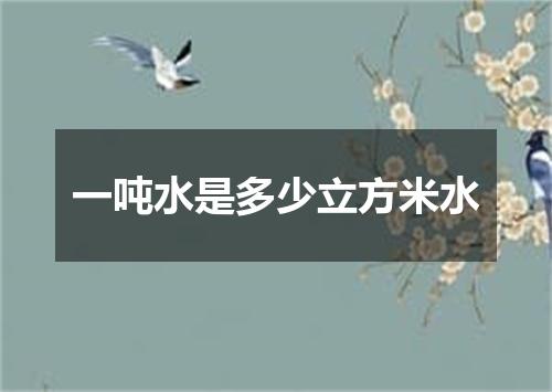 一吨水是多少立方米水