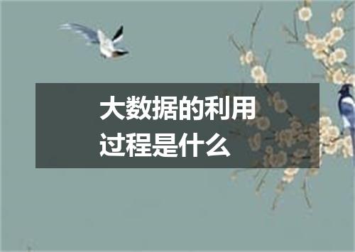 大数据的利用过程是什么