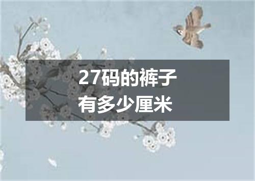 27码的裤子有多少厘米