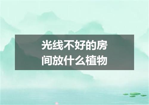 光线不好的房间放什么植物